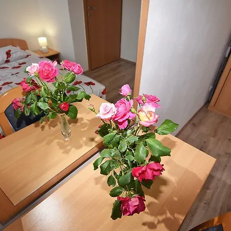 Apartment Nerea Pula Exterior photo